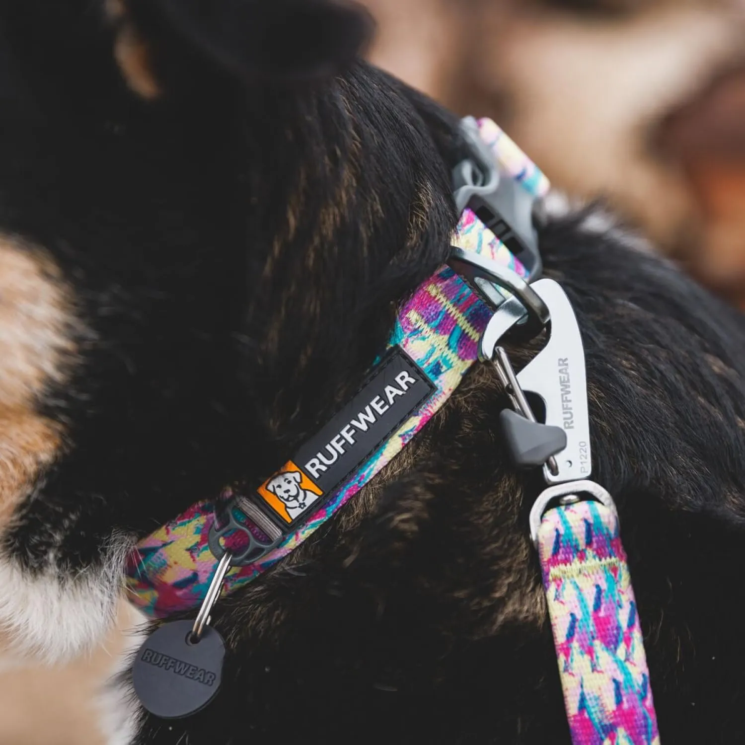 Ruffwear, Front Range Dog Collar, Adjustable Tubelok Webbing, Reflective, Lightweight, Side Release Buckle, Aluminum V-Ring, Durable for Everyday Use, River Rock Green, 14"-20"