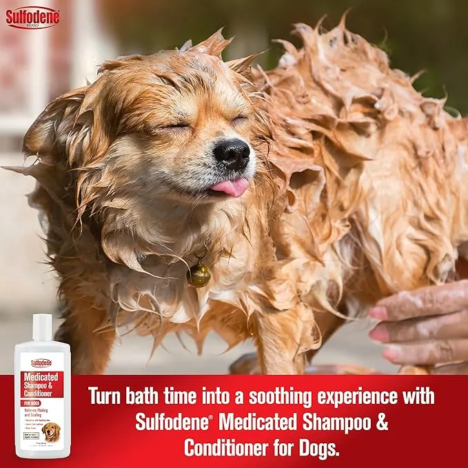 Sulfodene Medicated Shampoo & Conditioner for Dogs