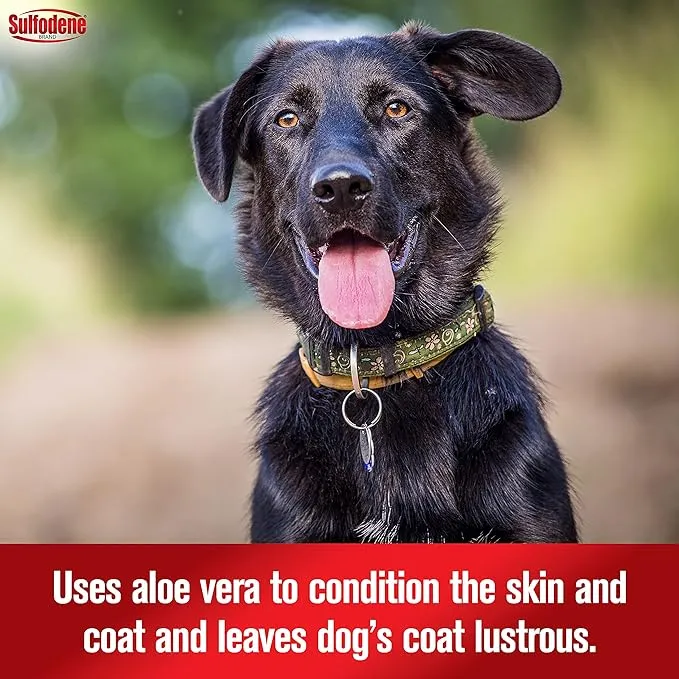 Sulfodene Medicated Shampoo & Conditioner for Dogs