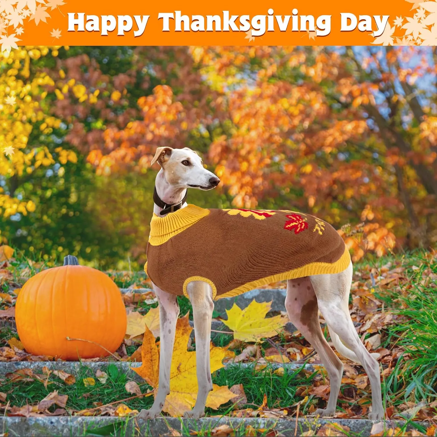 Thanksgiving Knitted Dog Turtleneck Sweater Dog Sweaters Turkey Warm Pullover Sleeveless with Leash Hole for Puppy Doggy Doggie Yorkshire Chihuahua Pug(L)