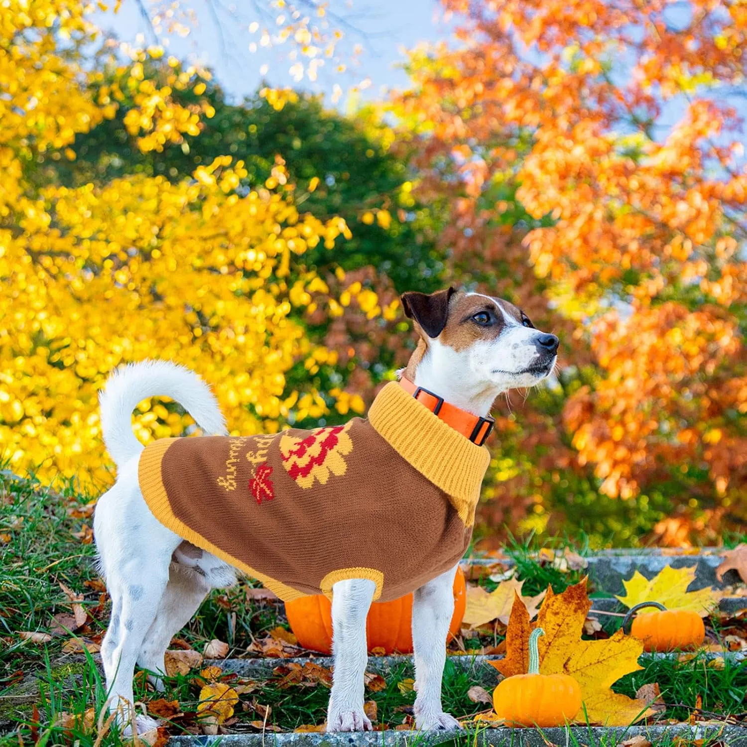 Thanksgiving Knitted Dog Turtleneck Sweater Dog Sweaters Turkey Warm Pullover Sleeveless with Leash Hole for Puppy Doggy Doggie Yorkshire Chihuahua Pug(L)