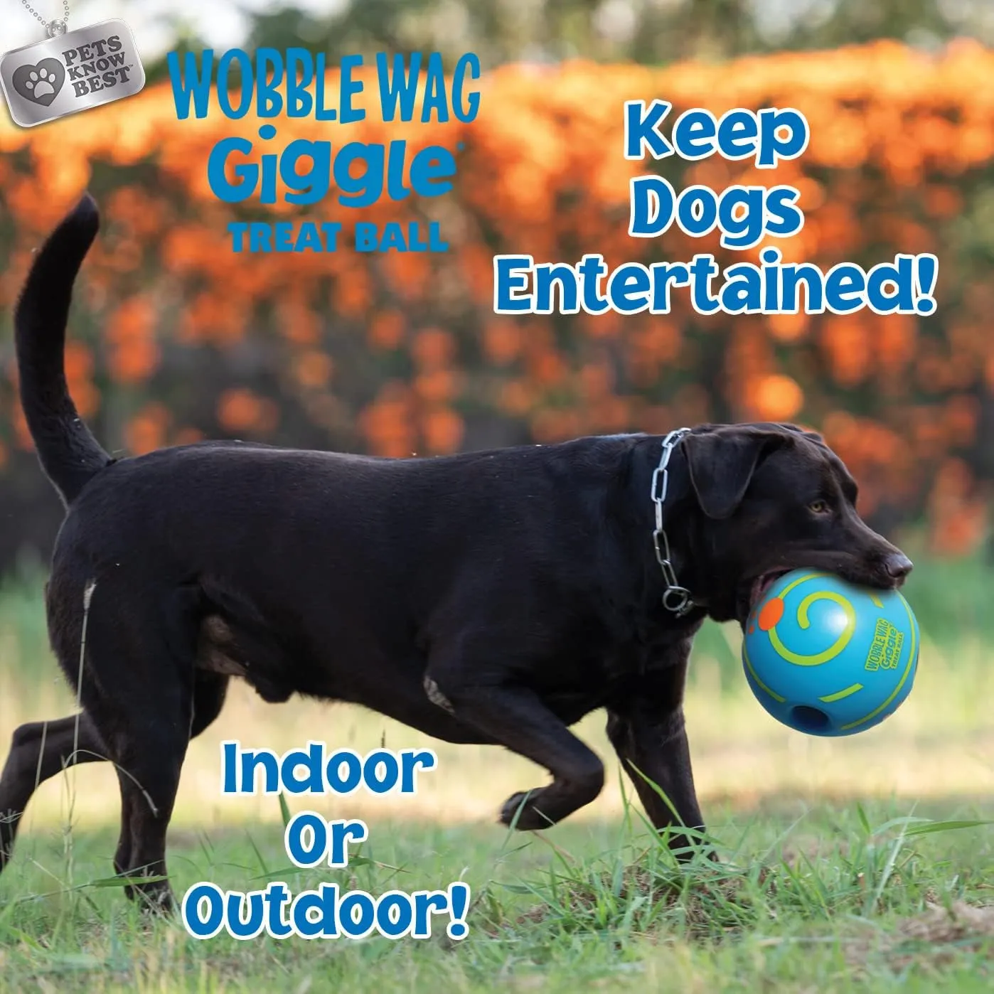 Treat Ball- Interactive Dog Toy & Treat Dispenser, Fun Giggle Sounds When Rolled or Shaken, Great for Dogs Pets Know Best