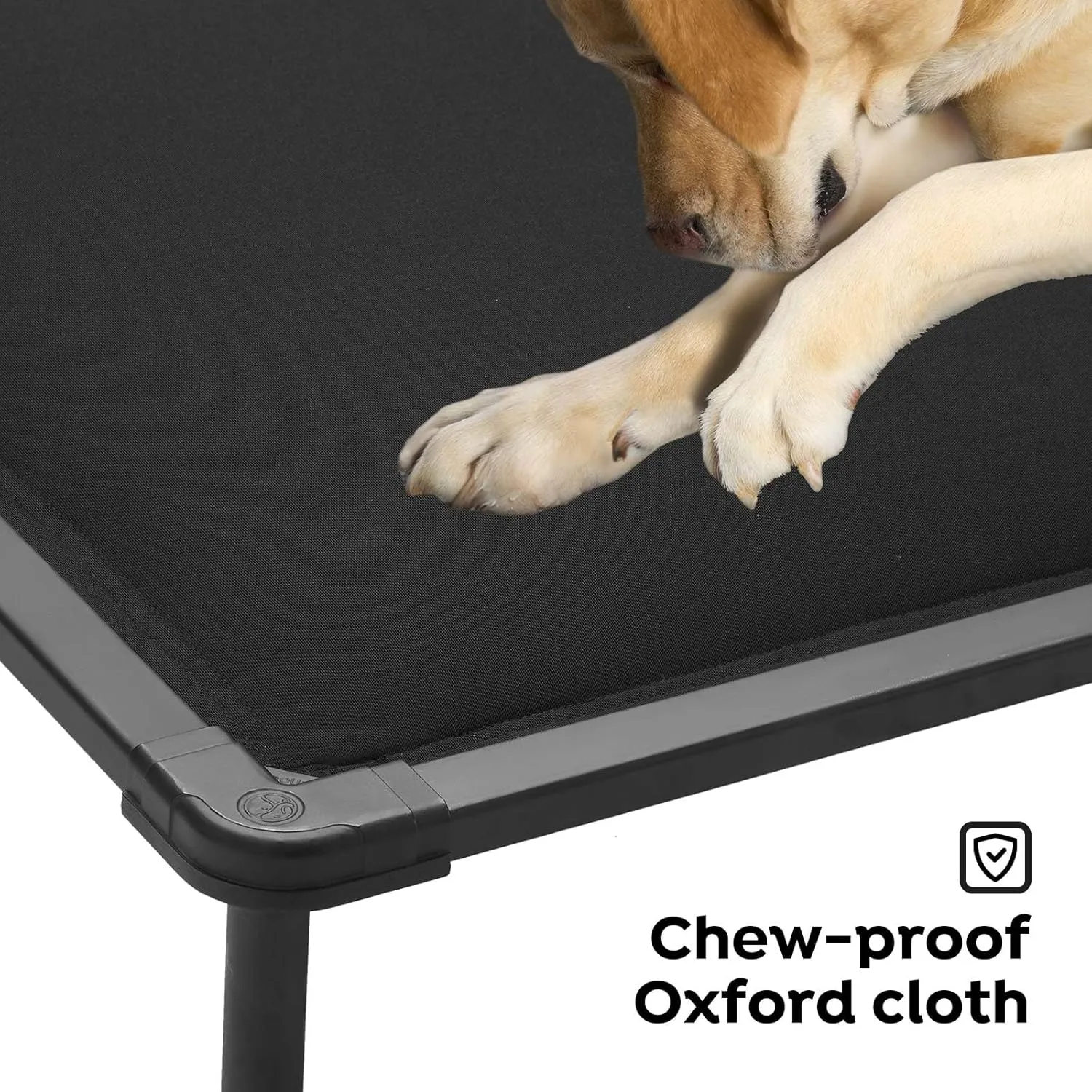 Veehoo Chew Proof Elevated Dog Bed, Durable Raised Pet Cot with Soft PP Cotton-Filled Waterproof Mat, Washable Padded Cot for Indoor, Outdoor & Camping, 41-Inch, Black