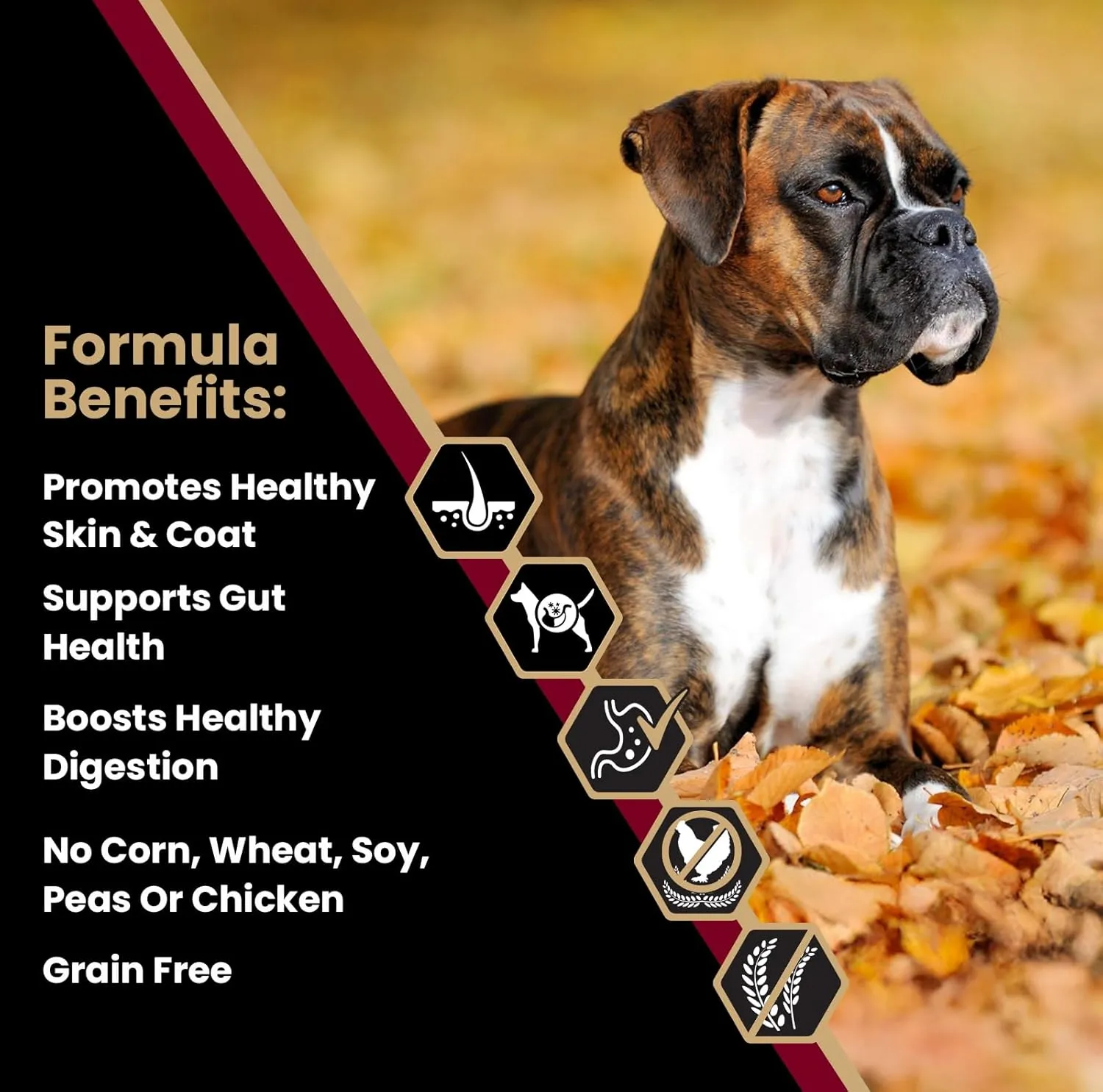 VICTOR- Sensitive Skin and Stomach, Grain Free Lamb Meal and Sweet Potato Recipe, Dry Dog Food, 30-lb