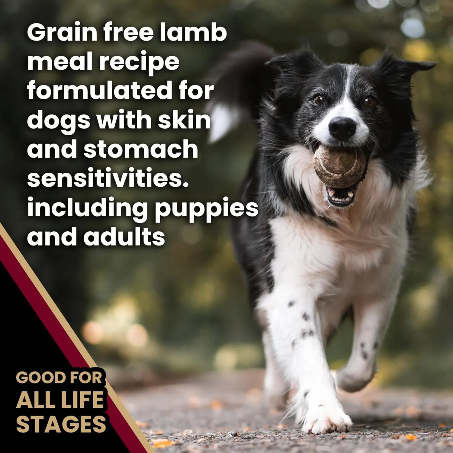 VICTOR- Sensitive Skin and Stomach, Grain Free Lamb Meal and Sweet Potato Recipe, Dry Dog Food, 30-lb